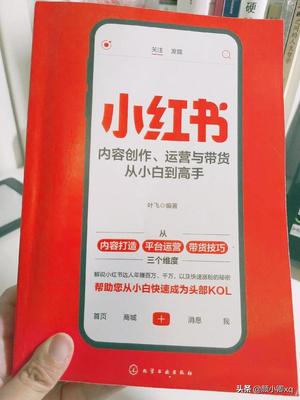 教师如何做小红书：轻松打造个人品牌与影响力