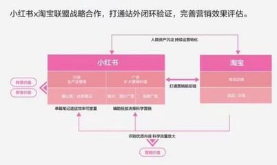 小红书联盟怎么申请：新手必看详细攻略