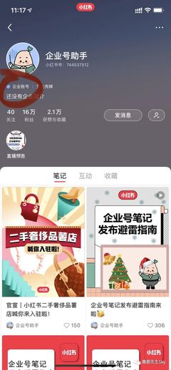 小红书如何获得蓝V认证？全面攻略助你快速入驻！