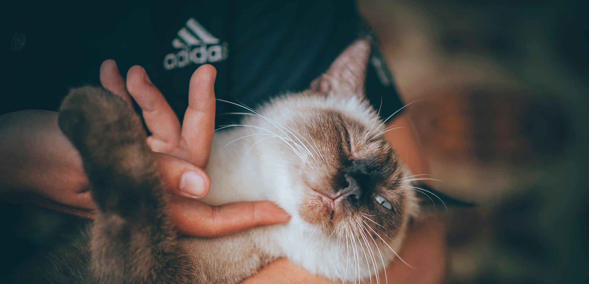 微博小号怎么申请？手把手教你轻松搞定！