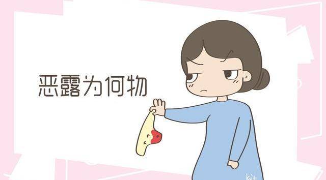 今日头条如何轻松下载视频，教你快速掌握技巧！