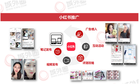 小红书直播合作攻略：轻松玩转品牌推广新方式