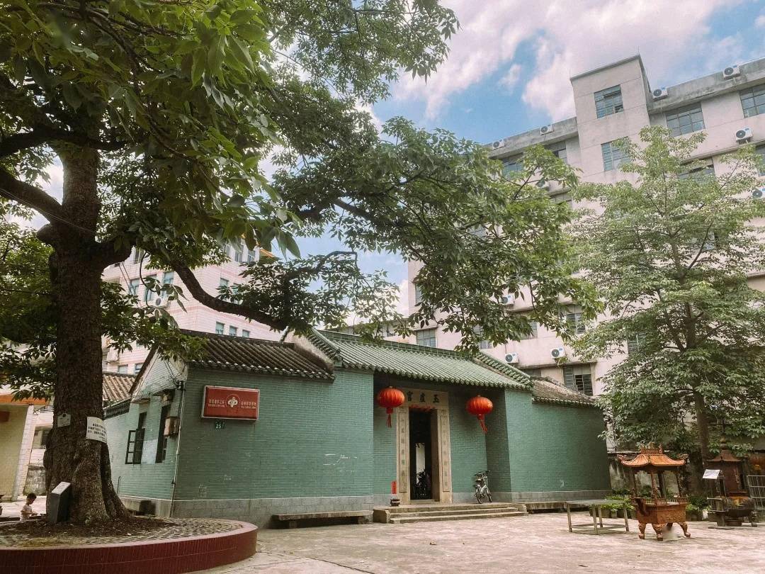 小红书如何改小眼睛？让双眸焕发新魅力的秘诀！