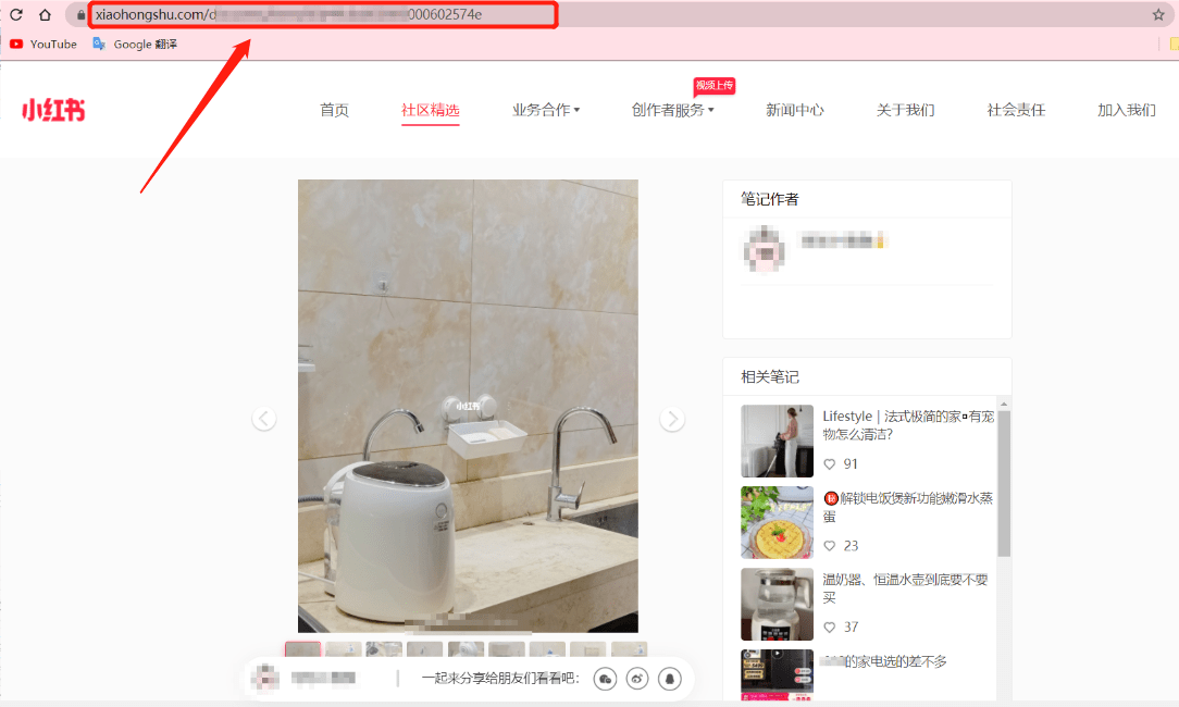 小红书如何关闭动态图？详细图文教程，一键解决视觉困扰！